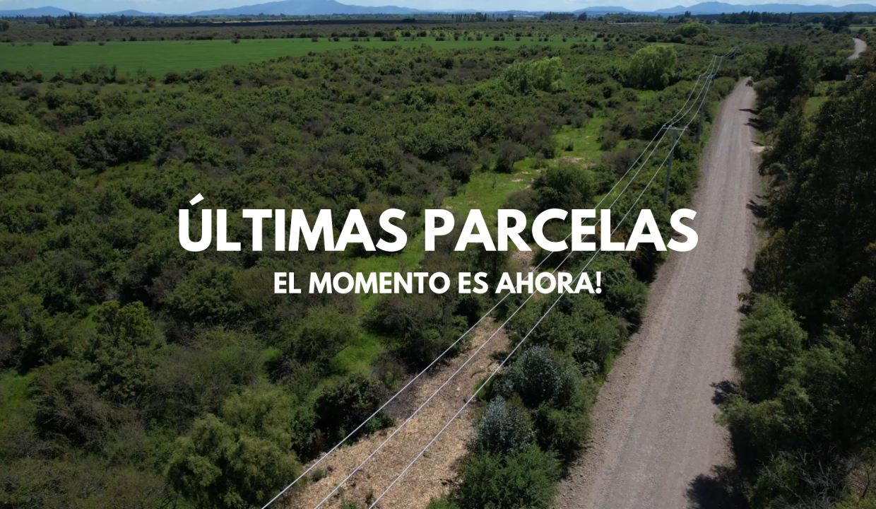 ultimas