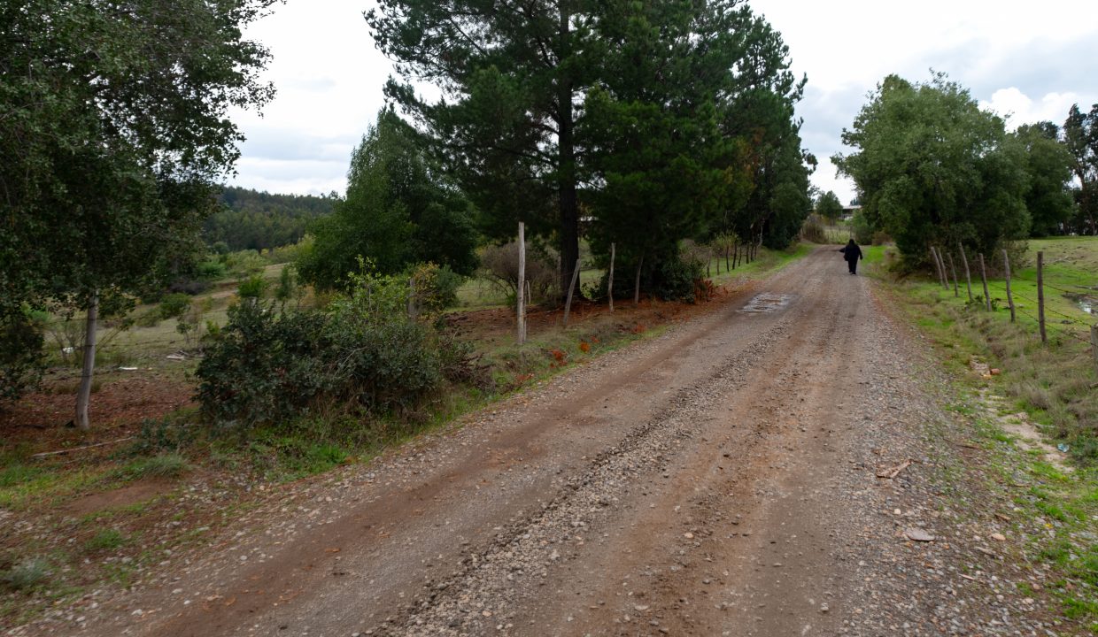 Camino