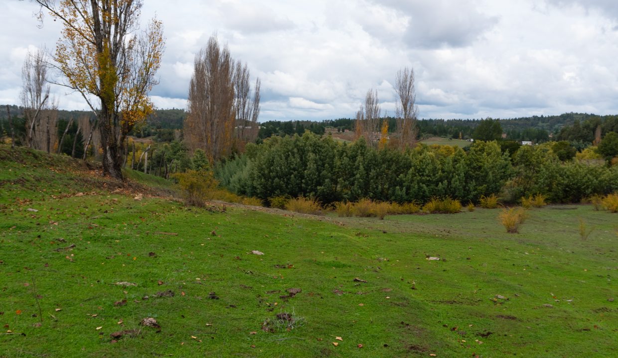 Campito