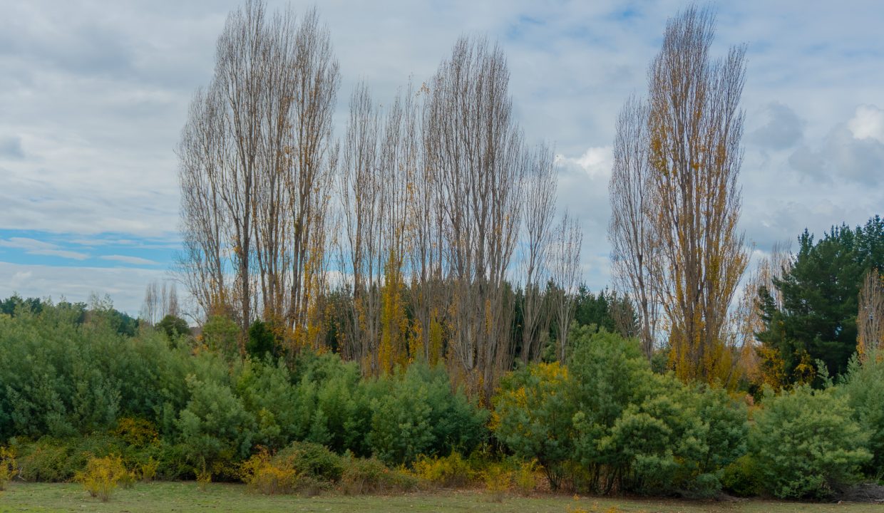 DSC01332