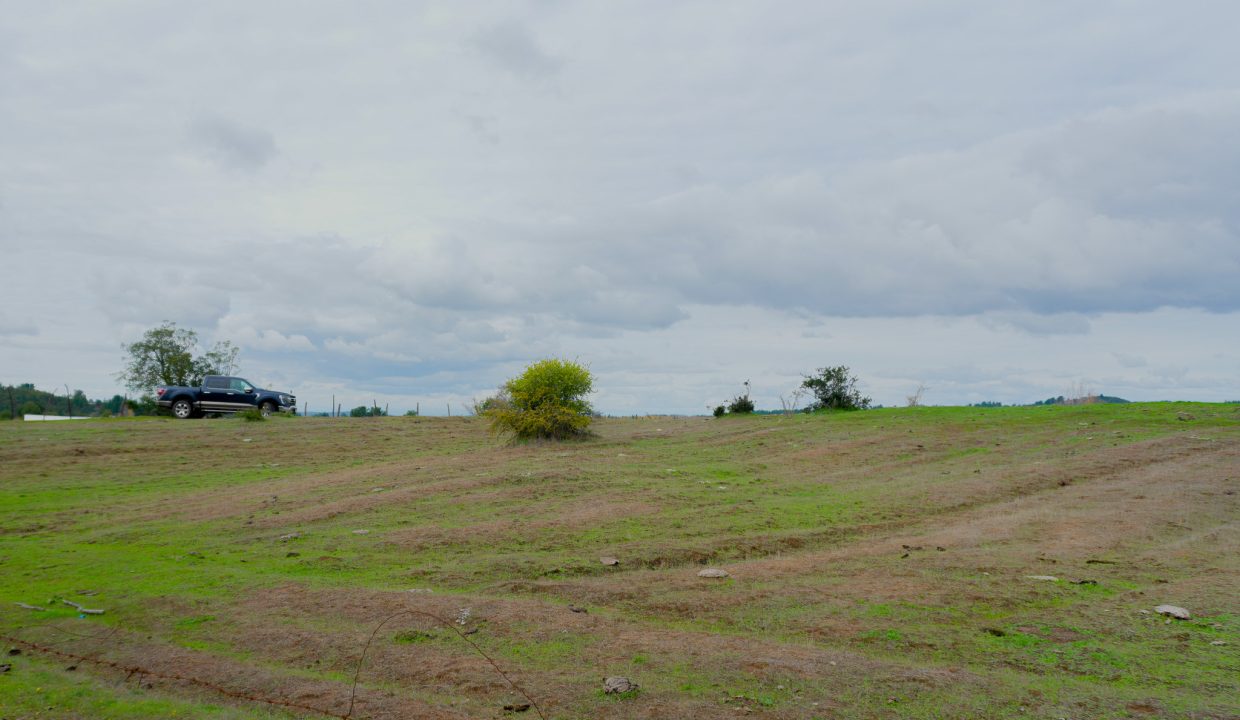DSC01372